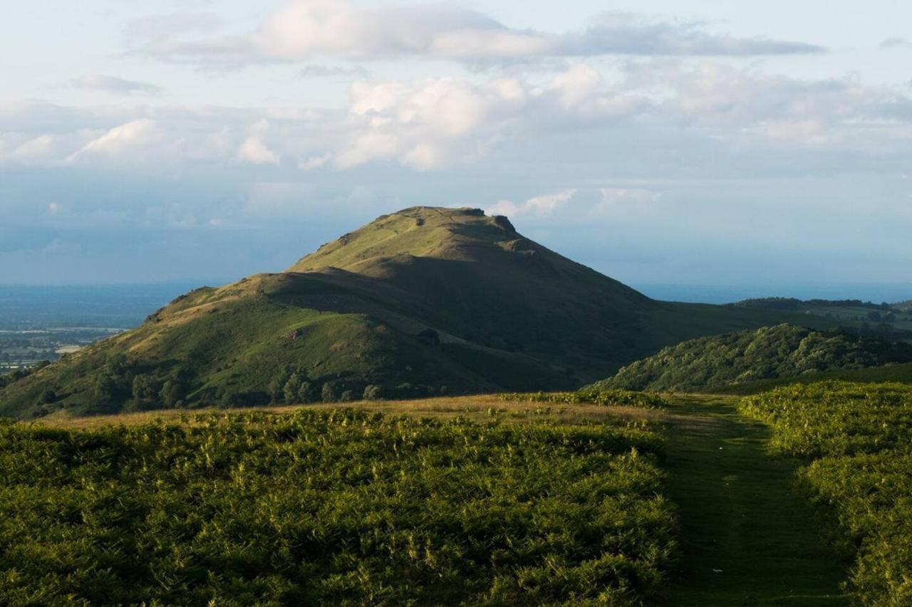 Nest Holiday Hideaway Wren Cottage Stunning Area! Church Stretton Exteriör bild